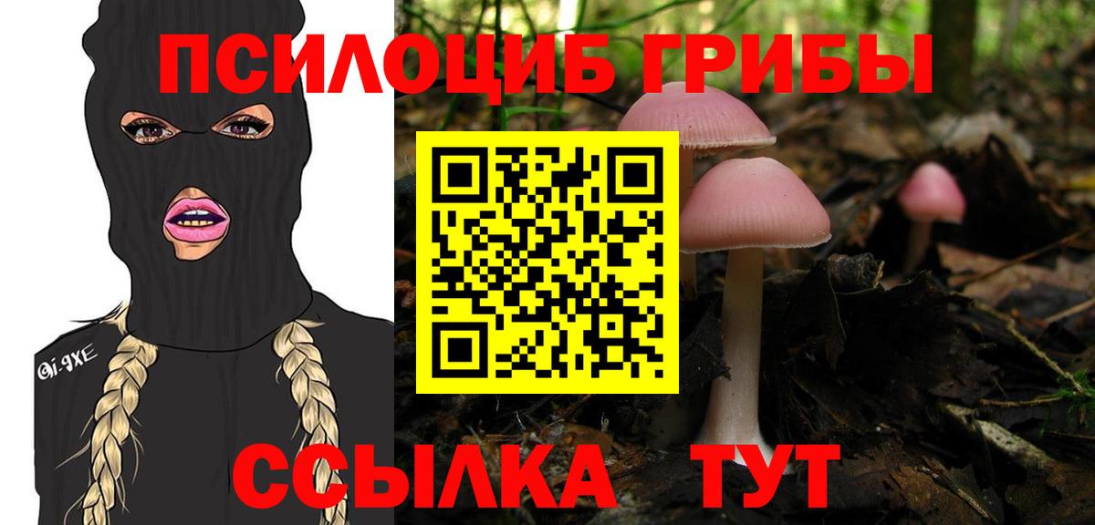 Ахтубинск  Галлюциногенные грибы MAGIC MUSHROOMS  Вход с VPN 